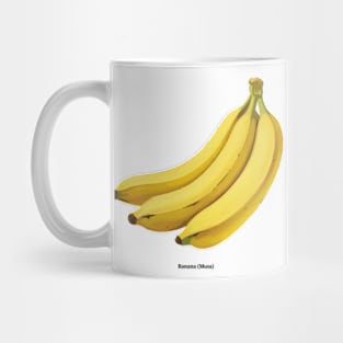 Botanical illustration of Banana (Musa) Mug
